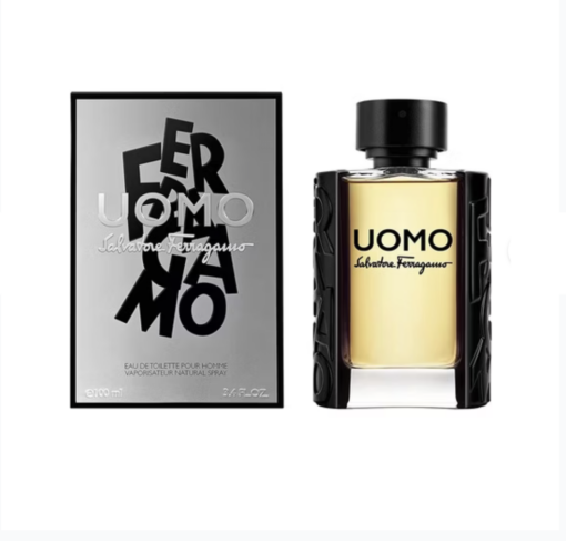 Salvatore Ferragamo Uomo Eau de Toilette pour Homme