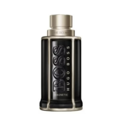 Hugo Boss The Scent for Him Magnetic 100ml Eau de Parfum